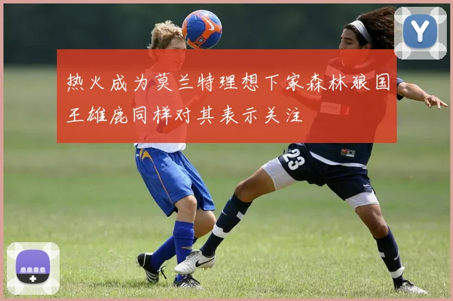 热火成为莫兰特理想下家森林狼国王雄鹿同样对其表示关注